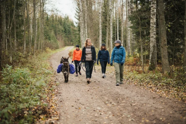 Metsäretki aasien kanssa (4 hlö, 2 h) - SatuAasin talli